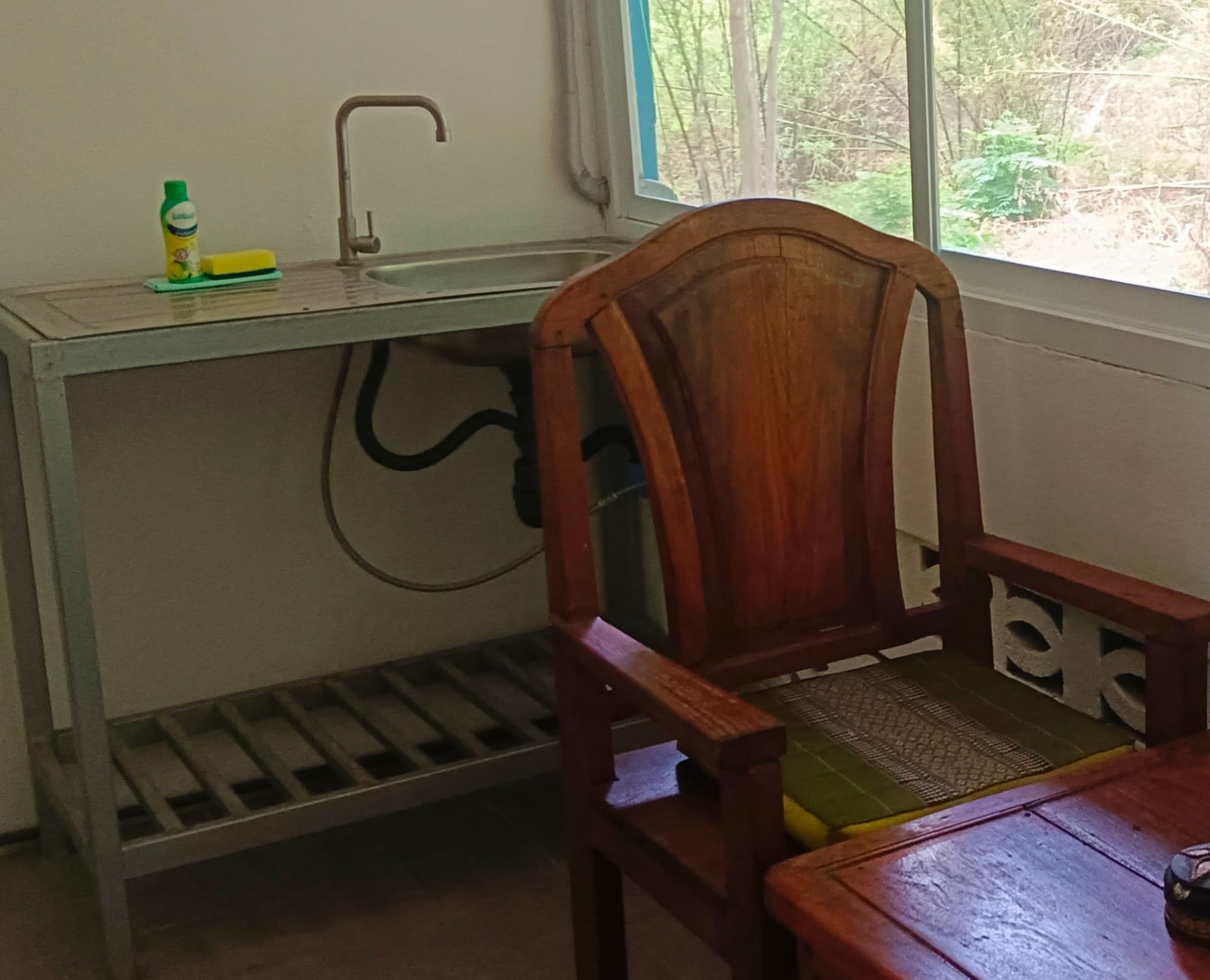 Jungle view room kitchen sink area
