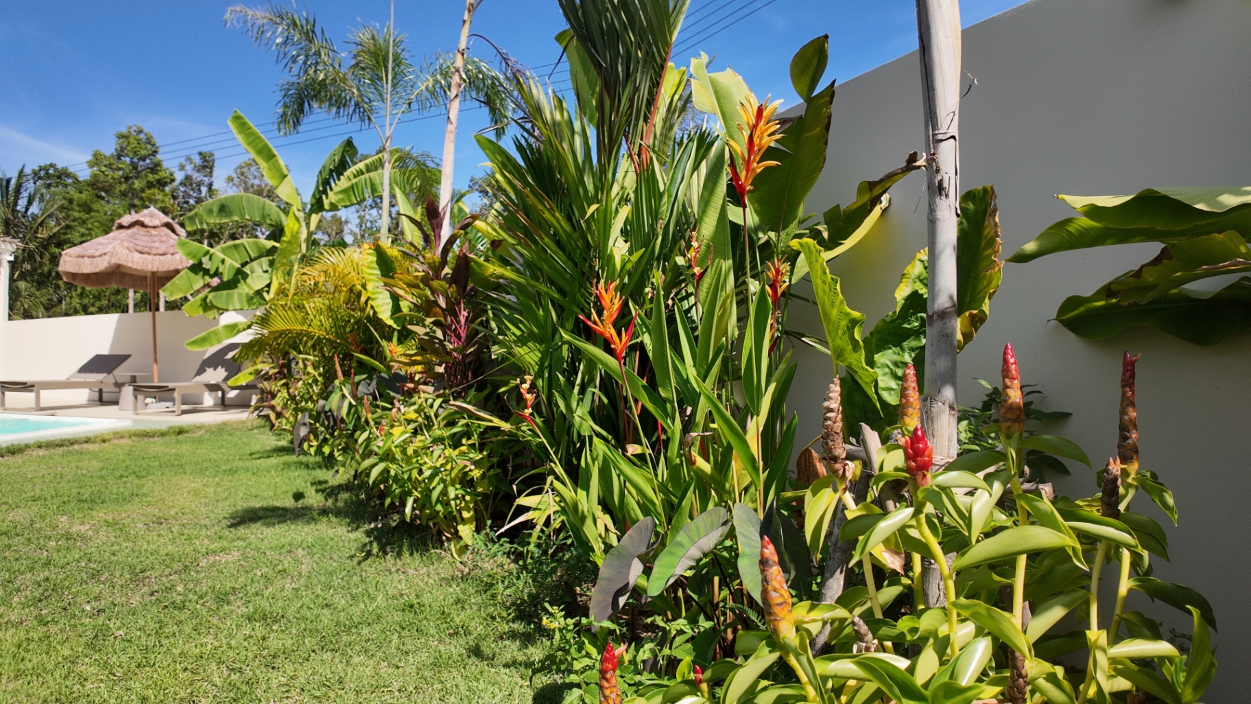 Garden and tropical landscaping at Villa Reina